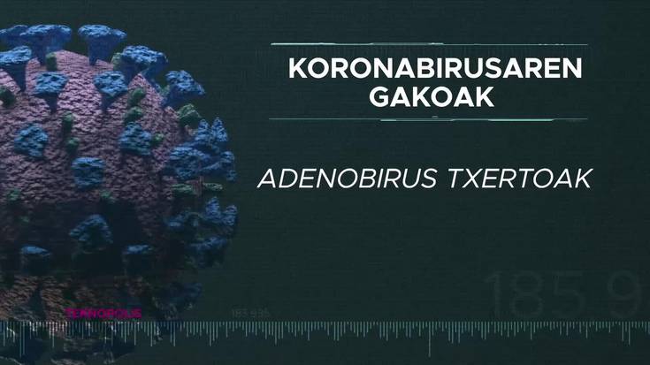 Bideo-pilulak: adenobirus txertoak