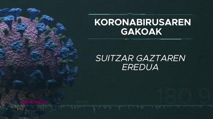 Bideo-pilulak: suitzar gaztaren eredua